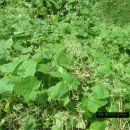 단산우체국 이미지