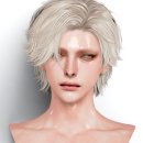 N134 네이버블로그