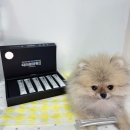 현동물병원 이미지