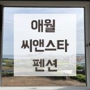 씨앤스타 | &lt;제주&gt; 애월 숙소 추천: 애월 씨앤스타 펜션 (feat. 프로시온 201, 오션뷰 후기)