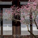가옥경로당 이미지