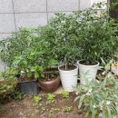 삼아아파트경로당 이미지