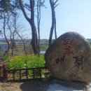 필애견훈련학교 이미지