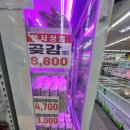 동해우리마트 | 동해 우리마트 다이소 탐방 (마트 고기 가격)