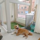 사계절, 몽 이미지