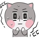 용쌤필라테스앤요가