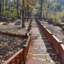 솔향기 힐링 하우스 이미지