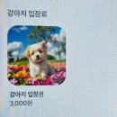 인화동-11 | [인화동] 6월의 인화동