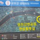 금호강강변공원 이미지