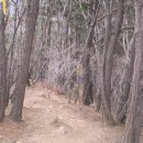 수원-1111 이미지