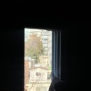 모자슈퍼 | 모자 찾으러 가요, 같이 갈까요? 영화 슈퍼 해피 포에버 후기 / 에무시네마