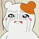 호텔버스 이미지