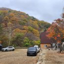 사계절풍경 | 흥정계곡 바로 앞, 사계절 따뜻한 평창 산마을풍경 캠핑장 후기