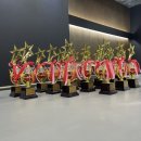 백호타이거즈태권도 이미지