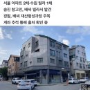 ‘김혜경 개인비서’ 배씨, 부동산 50억 미스터리 이미지