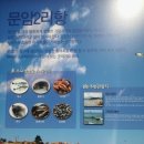 문암2리항 이미지