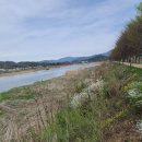 학사 4리 이미지