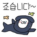 B&F발란스#