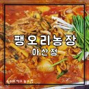 대신농장 | 탕정 오리도리탕 맛집 팽오리농장 아산점｜캠핑 감성 예약 필수 재방문 후기