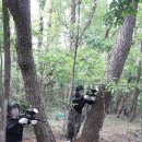 부산시립정신병원 이미지