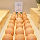 샤브올데이 청주봉명점 이미지