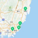 유림-1147 이미지