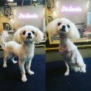 (주)말티 이미지