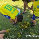 노블리스펜션 이미지