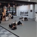 라이프짐MMA | 오창주짓수 MMA 체육관 다비드짐 운동의 새로운 즐거움