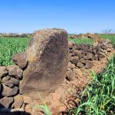 일과리 지석묘 이미지