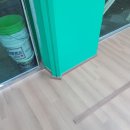 브라운포레