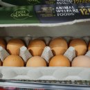 뉴질랜드 동물복지 계란 이미지