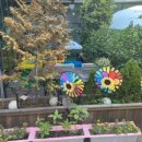 토마토키즈 이미지