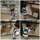 울산아이스크림아울렛