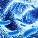 효성우리공인중개사사무소 이미지