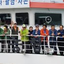 필금 Daum카페