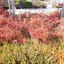 신정2동자치회관 이미지