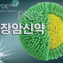주식회사 보로 네이버블로그