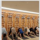 스트레칭&힐링요가 이미지