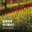(주)에스지엠 아산지점 | 아산 피나클랜드 튤립 실시간 | 불꽃축제 시간, 할인 꿀팁 총정리