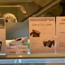 포레드썸머 이미지