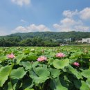 내동마을회관 이미지