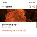 동호몽 네이버블로그