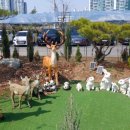 장자호수길 이미지