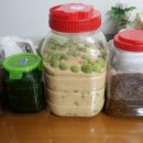 다래와 잣나무 이미지