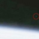 다니다니 이미지