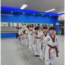 용인대 청명 태권도 이미지
