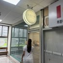 디케어