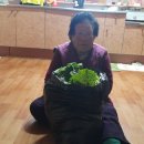 용일농장 이미지