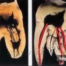 김성철치과의원 이미지